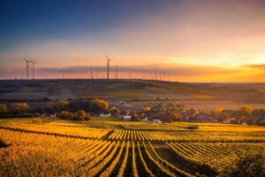 2025-tegner-til-at-slaa-rekord-for-negative-elpriser